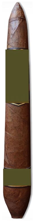 Plasencia Alma Fuerte - Salomon Single Cigar